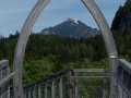 Baumwipfelpfad