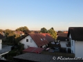 Blick