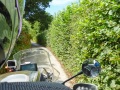 Ganz viele "Single Roads"