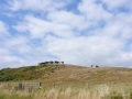 England heißt auch "ganz viel Natur"