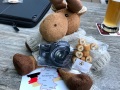 Der Fotoelch Berti