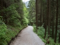 Auf den Berg