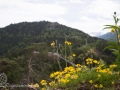 Highline 179