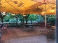 Biergarten