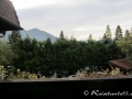 Ausblick vom Balkon