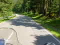 Wenige los im Schwarzwald