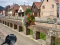 Dann weiter durch das Elsass