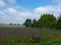 Motorrad-Tour-Tag25-16