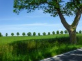 Motorrad-Tour Ostsee