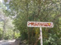 Coll d'Honor - 550m